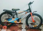 Crysta cycle 20inch
