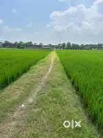 Agricultural land