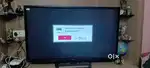 Palsam tv 55 inch