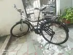 Avon Bicycle for Adults