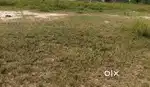 Land for sell