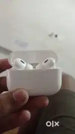 Apple air birds