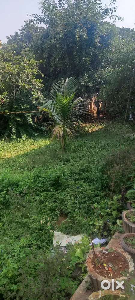 open site at prime area