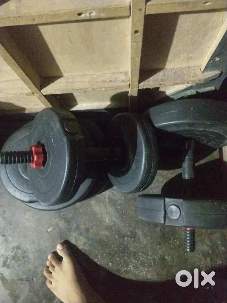 Gym equipment