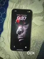 Iphone 13 White colour