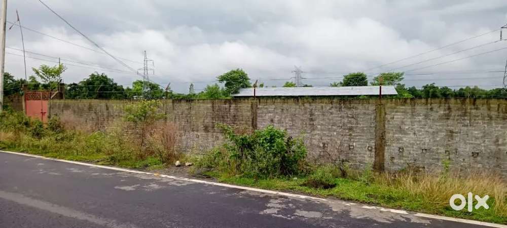 24 katha land for sale at ambari near Delhi World public school