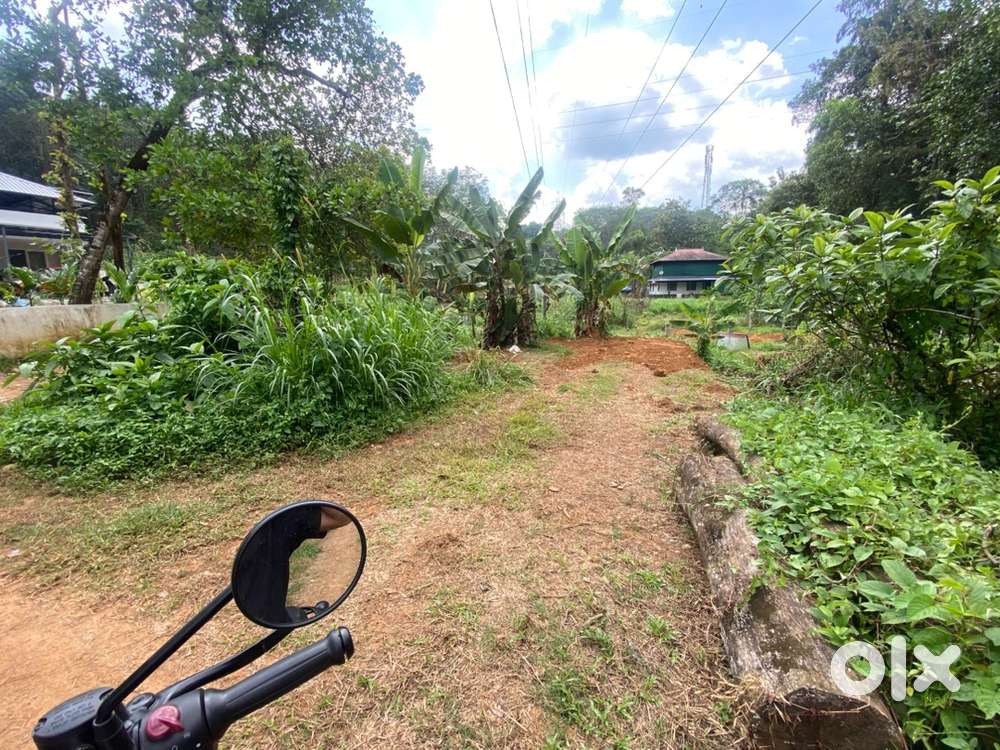 5 cent plot in karakunnam, muvattupuzha