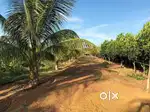 अपना farmhouse ka सपना पूरा करें – शानदार फार्महाउस प्लॉट्स अब उपलब्ध