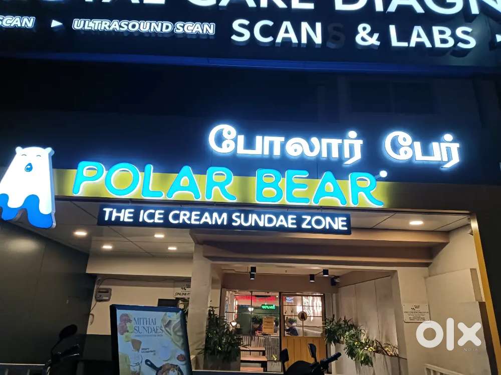 Polarbear icecream parlour