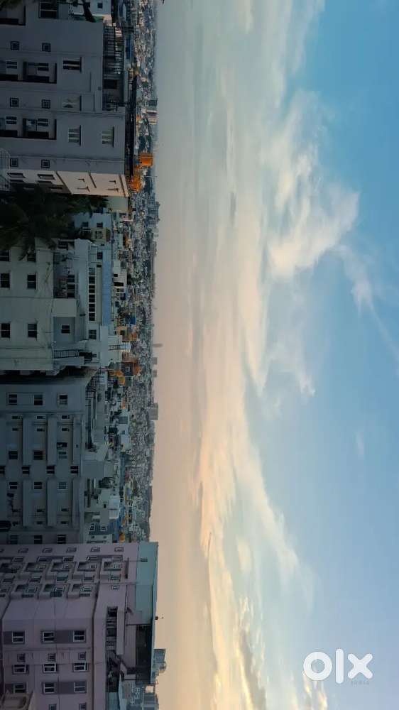 Need a female to share 1 bhk near Christ University, Sg palya