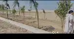 100gaj ka plot 8 lakh me Amrita hospital ke najdik le