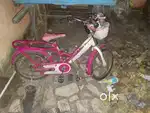 Neelam Girl's Cycle