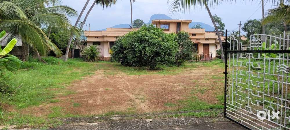 Prime Commercial Property for Rent – Ideal for Godown, Showroom, Banks