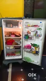 Refrigerator and ice-cream fridge