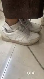 shoe sparx