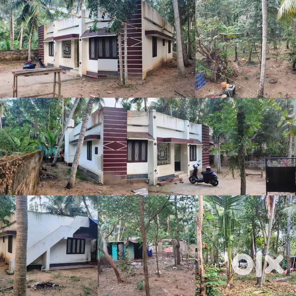 20 cent residential plot for urgent sale near Pallinada Kaniyapuram!