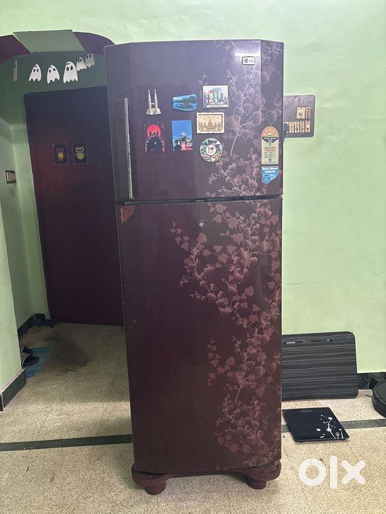 Double door LG 290L Refrigerator