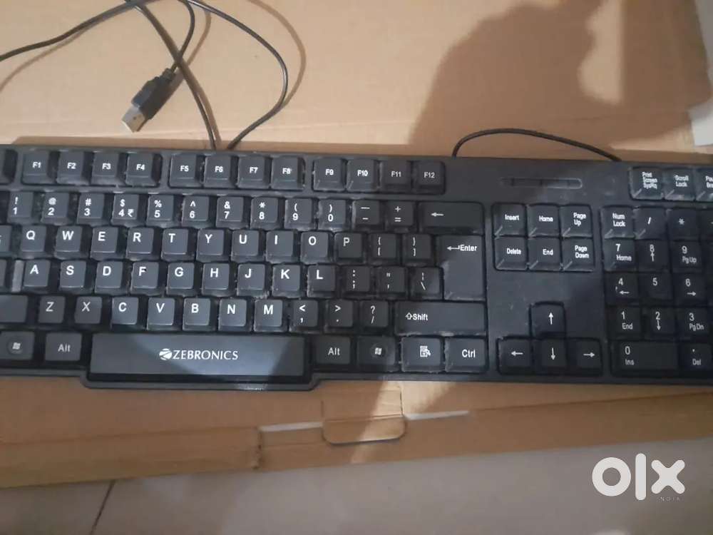 Zebronics wired keyboard K24