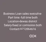 Loan executive