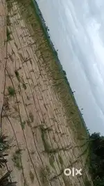 10 Acres agriculture land