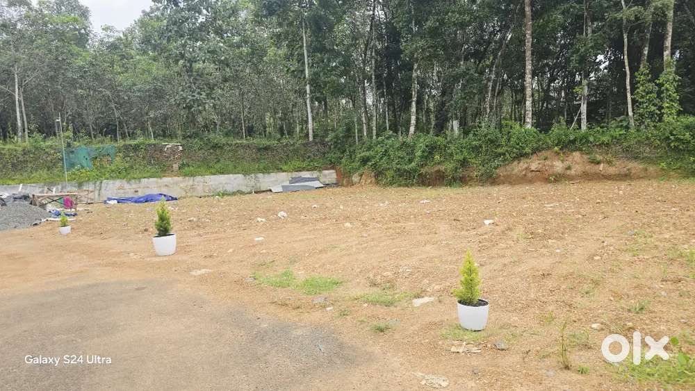 Land for sale in  Kothanalloor Town