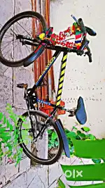 Outlaw Afrow bicycle