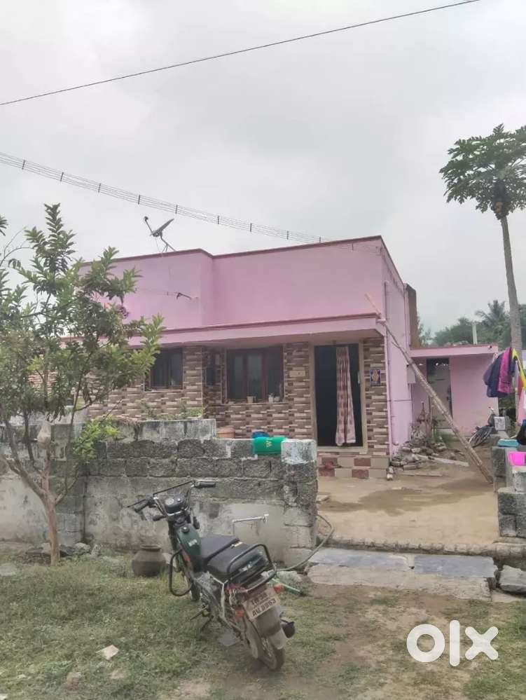 For sale ,muniyappan Kovil kadu 
Puthur agraharam நெய்க்காரப்பட்டி