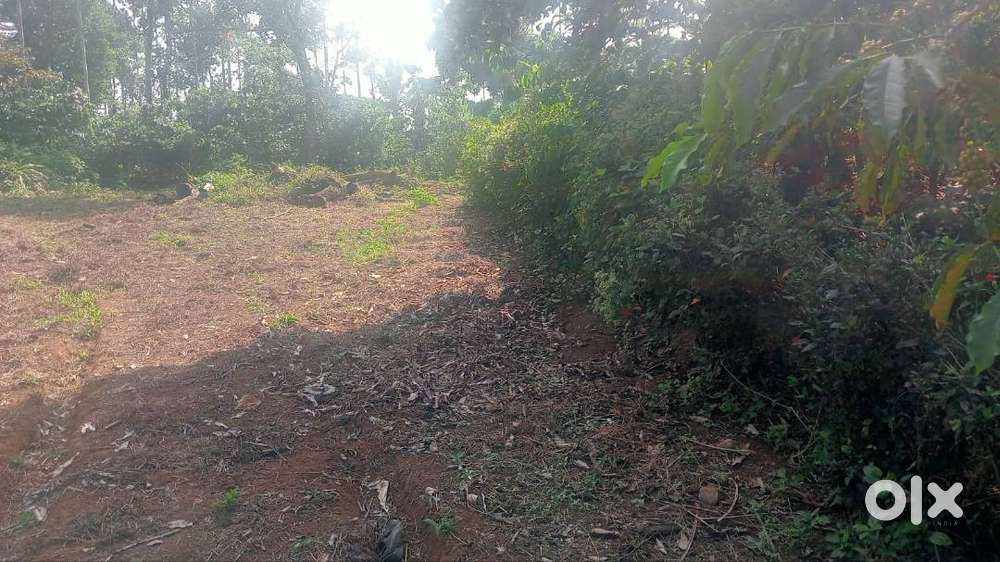 10 Cent Plot with SH Frontage – Vengapalli Kalpetta Wayanad