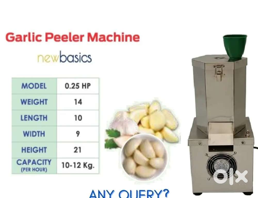 garlic peeling machine