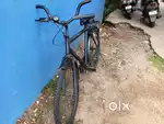 Kids Cycle + Adult cycle