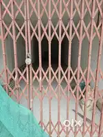 Shop for Rent  in Gyan khand 1