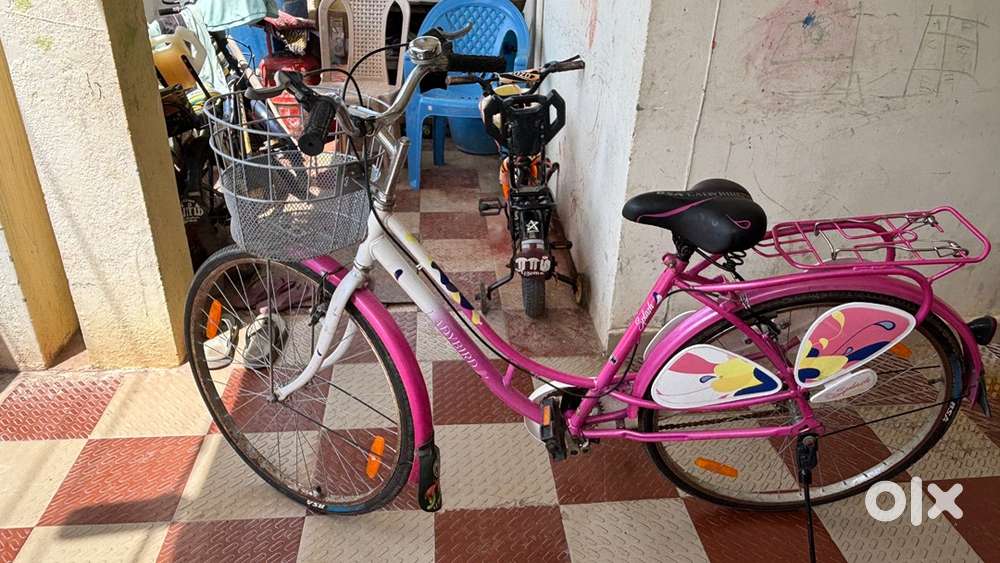 Lady bird cycle