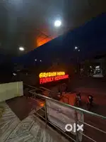 Arabian mandi family restaurant &Green Bucket biryani&greenbucker frnc