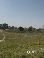 Agriculture land seal new Chandigarh