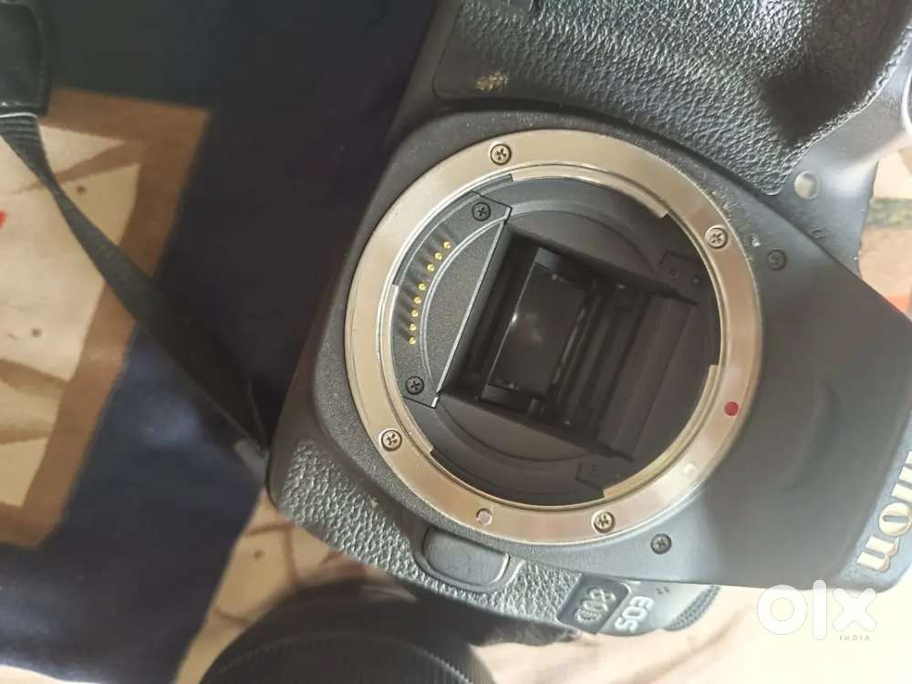 Canon 80D model