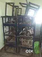 paper plate machine