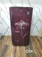 Lg 215 flower model 5 star rating single door refrigerator