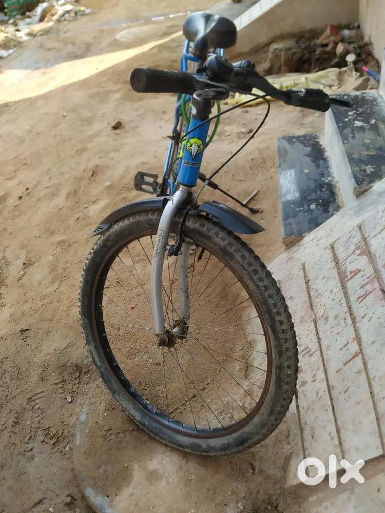 Best look Best candisan