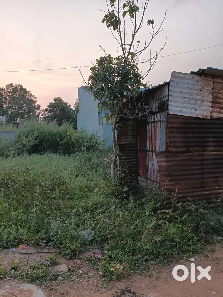 Site 34 ,Ward 8 ,East facing,Shivejothi  layout ,