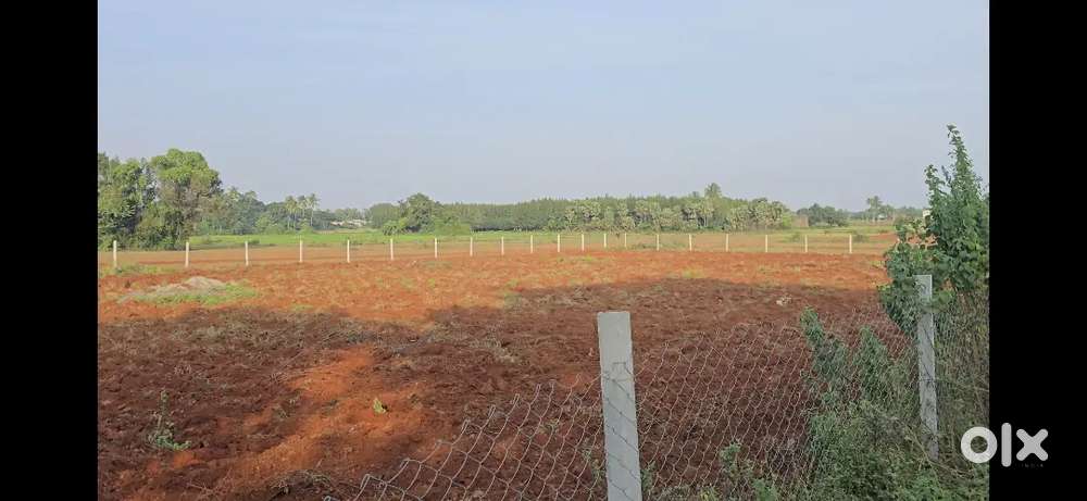 Red soil land for sale 70 cent - 30560 sq feet