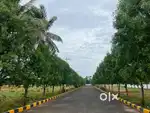 Polipalli village