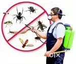 PEST CONTROL SERVICES TERMITE AND COCKROACH SERVICE WITH LOWPRICE
