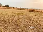 MIDC plot & Land