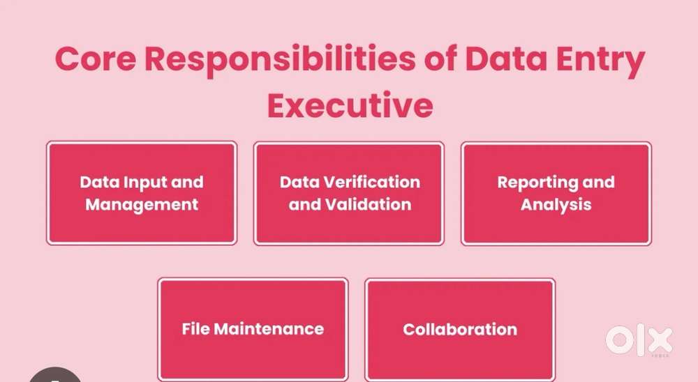 Data Entry Executive