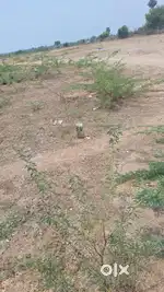 Puthucharam to navani road.panjayathu approved plot