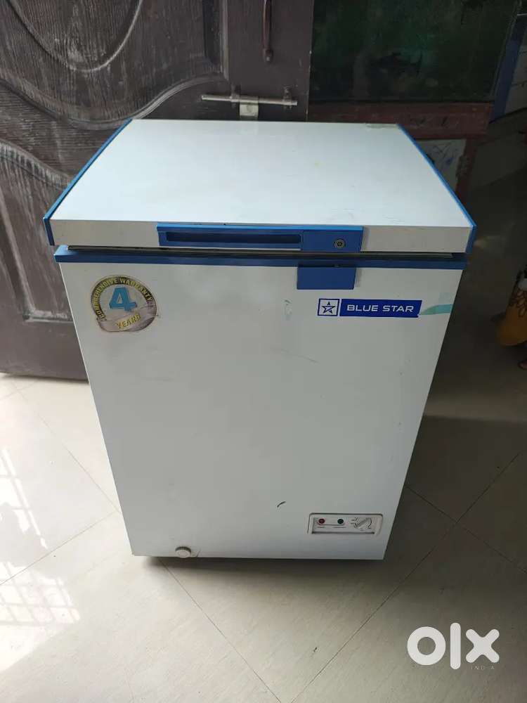 Blue star freezer