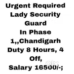 Lady Security Guard Job Phase 1,Chandigarh