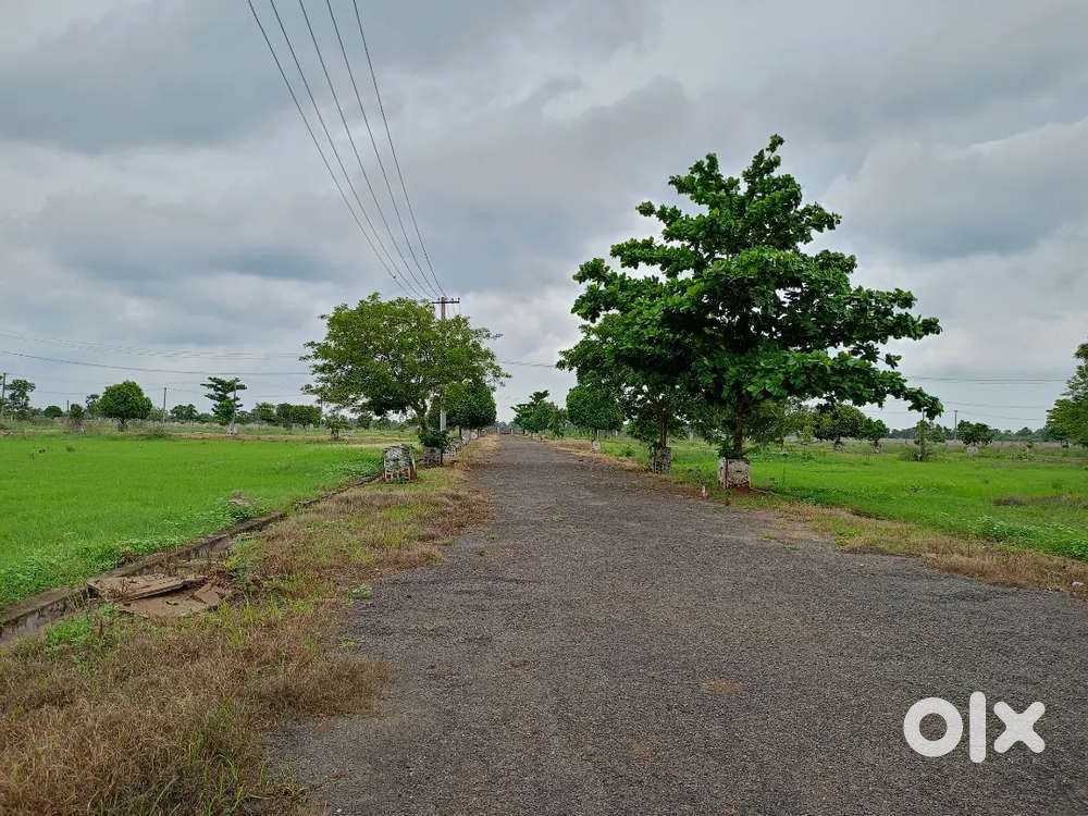 Residential Plot near National Highway Bhogapuram