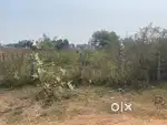 Tekumudi chinna