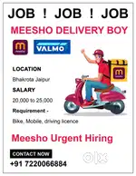 Meesho Delivery Boy